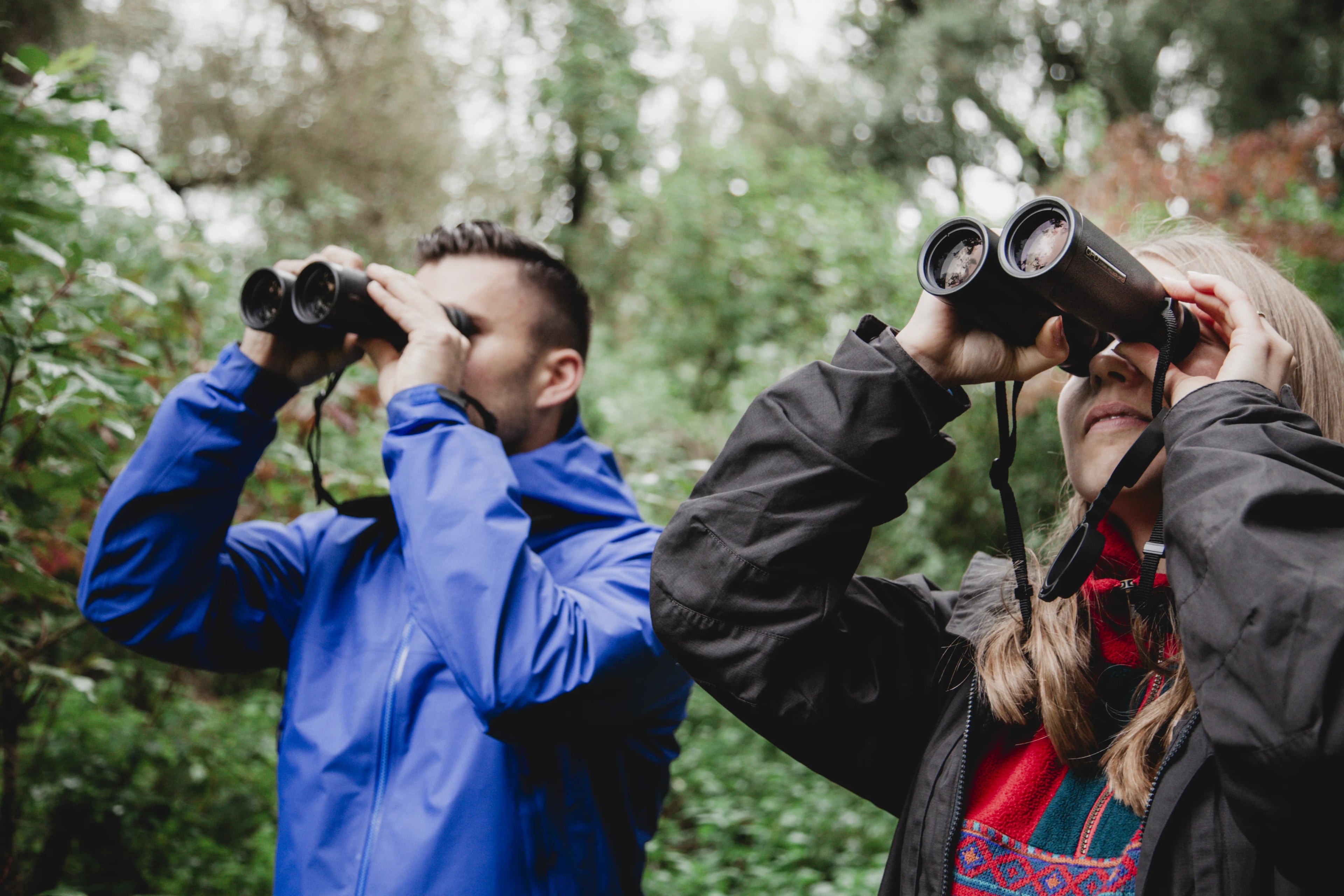 Birding.alt