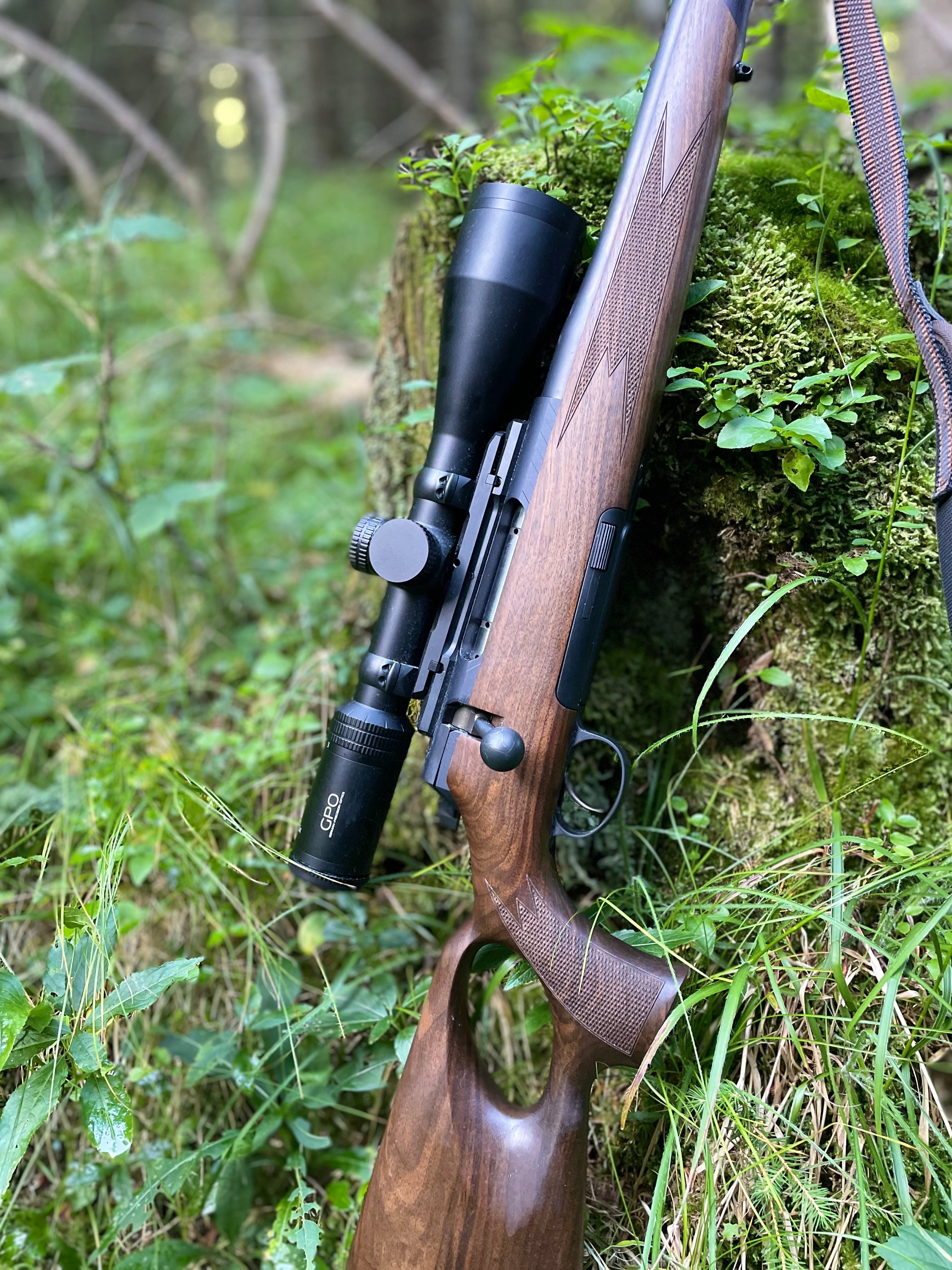 Zielfernrohr auf Jagdgewehr, Natur